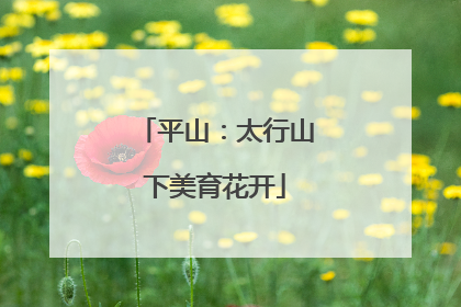 平山：太行山下美育花开