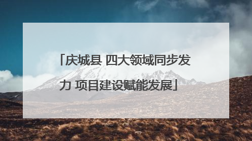 庆城县 四大领域同步发力 项目建设赋能发展