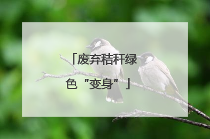废弃秸秆绿色“变身”