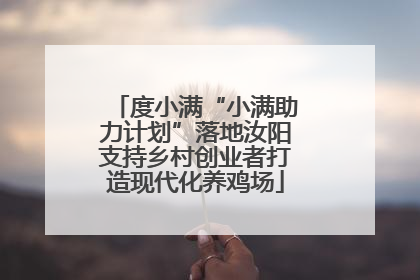度小满“小满助力计划”落地汝阳支持乡村创业者打造现代化养鸡场