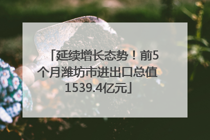 延续增长态势！前5个月潍坊市进出口总值1539.4亿元