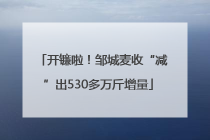 开镰啦！邹城麦收“减”出530多万斤增量