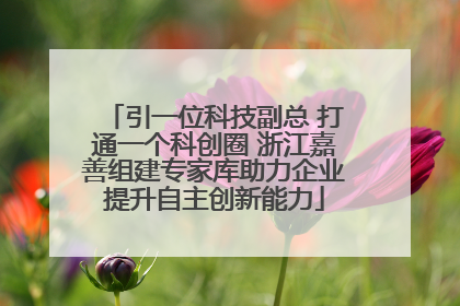 引一位科技副总 打通一个科创圈 浙江嘉善组建专家库助力企业提升自主创新能力