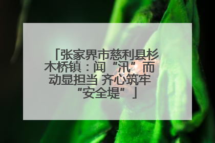 张家界市慈利县杉木桥镇：闻“汛”而动显担当 齐心筑牢“安全堤”
