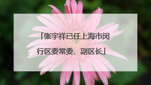 张宇祥已任上海市闵行区委常委、副区长