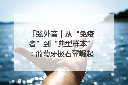 弦外音｜从“免疫者”到“典型样本”：葡萄牙极右翼崛起背后的欧洲困局