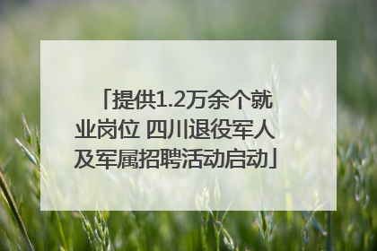 提供1.2万余个就业岗位 四川退役军人及军属招聘活动启动