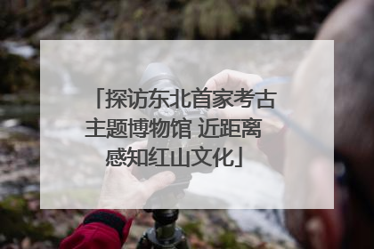 探访东北首家考古主题博物馆 近距离感知红山文化