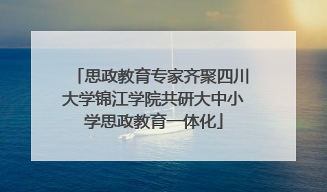 思政教育专家齐聚四川大学锦江学院共研大中小学思政教育一体化