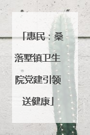 惠民：桑落墅镇卫生院党建引领送健康