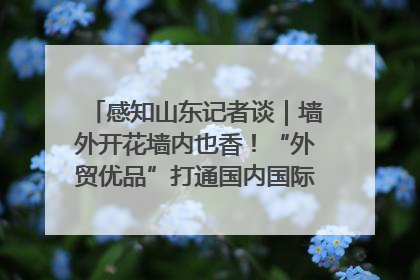 感知山东记者谈｜墙外开花墙内也香！“外贸优品”打通国内国际市场“旋转门”