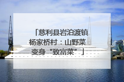 慈利县岩泊渡镇杨家桥村：山野菜变身“致富菜”