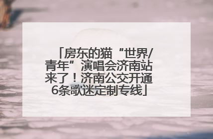房东的猫“世界/青年”演唱会济南站来了！济南公交开通6条歌迷定制专线