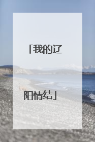 我的辽阳情结