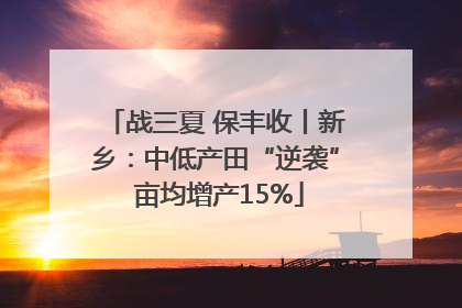 战三夏 保丰收丨新乡：中低产田“逆袭” 亩均增产15%