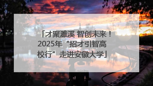 才聚濉溪 智创未来！2025年“招才引智高校行”走进安徽大学