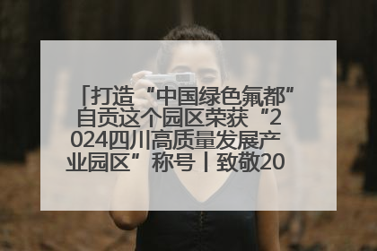 打造“中国绿色氟都” 自贡这个园区荣获“2024四川高质量发展产业园区”称号丨致敬2024经济影响力人物