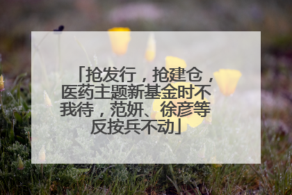 抢发行，抢建仓，医药主题新基金时不我待，范妍、徐彦等反按兵不动