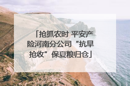 抢抓农时 平安产险河南分公司“抗旱抢收”保夏粮归仓