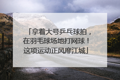 拿着大号乒乓球拍，在羽毛球场地打网球！这项运动正风靡江城