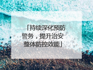 持续深化预防警务，提升治安整体防控效能