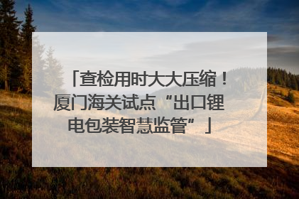 查检用时大大压缩！厦门海关试点“出口锂电包装智慧监管”