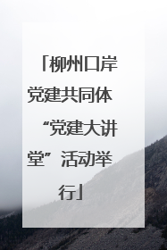 柳州口岸党建共同体“党建大讲堂”活动举行