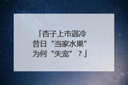 杏子上市遇冷 昔日“当家水果”为何“失宠”？