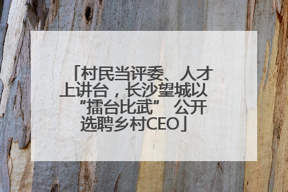 村民当评委、人才上讲台，长沙望城以“擂台比武” 公开选聘乡村CEO