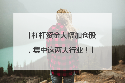 杠杆资金大幅加仓股，集中这两大行业！