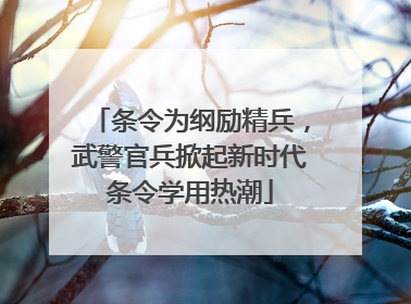 条令为纲励精兵，武警官兵掀起新时代条令学用热潮