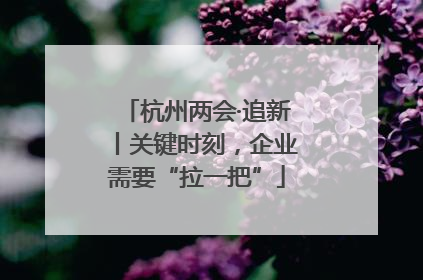 杭州两会·追新丨关键时刻，企业需要“拉一把”
