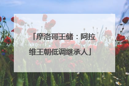 摩洛哥王储：阿拉维王朝低调继承人