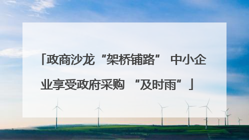 政商沙龙“架桥铺路” 中小企业享受政府采购 “及时雨”