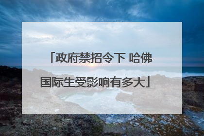 政府禁招令下 哈佛国际生受影响有多大