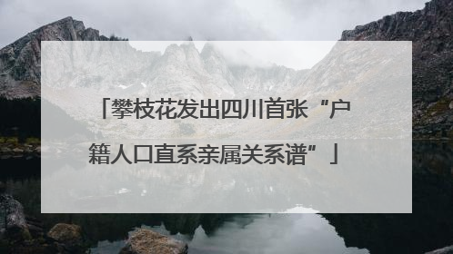 攀枝花发出四川首张“户籍人口直系亲属关系谱”
