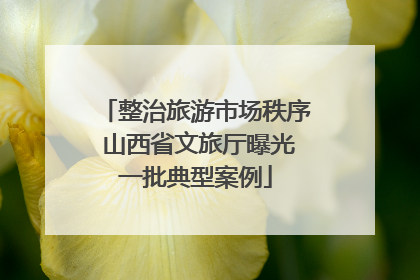整治旅游市场秩序 山西省文旅厅曝光一批典型案例