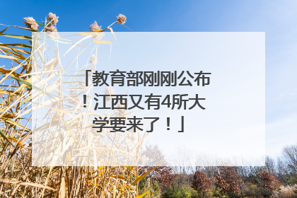 教育部刚刚公布！江西又有4所大学要来了！