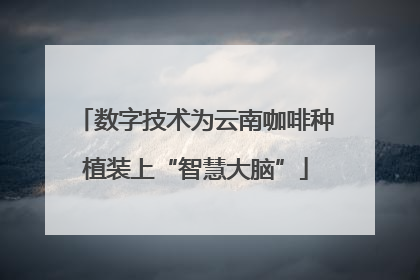 数字技术为云南咖啡种植装上“智慧大脑”