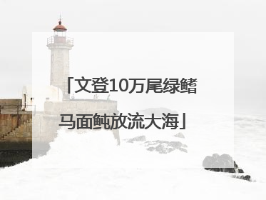 文登10万尾绿鳍马面鲀放流大海