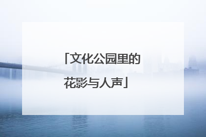 文化公园里的花影与人声