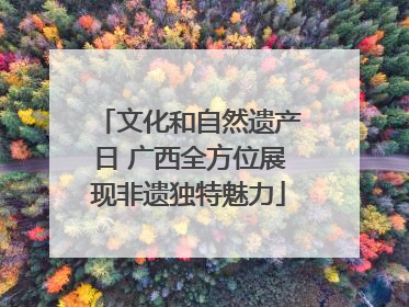 文化和自然遗产日 广西全方位展现非遗独特魅力