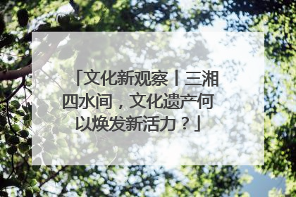 文化新观察丨三湘四水间，文化遗产何以焕发新活力？