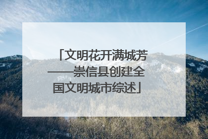 文明花开满城芳——崇信县创建全国文明城市综述