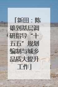 新田：陈雄到基层调研指导“十五五”规划编制与城乡品质大提升工作