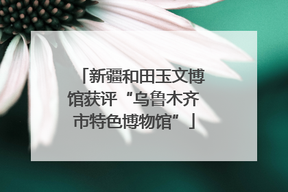 新疆和田玉文博馆获评“乌鲁木齐市特色博物馆”