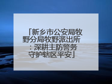 新乡市公安局牧野分局牧野派出所：深耕主防警务 守护辖区平安