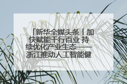 新华全媒头条丨加快赋能千行百业 持续优化产业生态——浙江推动人工智能健康有序发展观察
