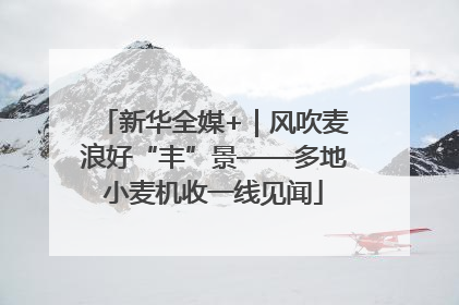 新华全媒+｜风吹麦浪好“丰”景——多地小麦机收一线见闻