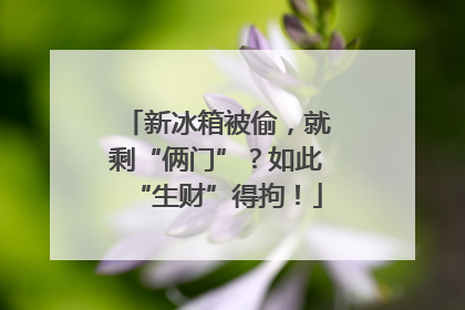 新冰箱被偷，就剩“俩门”？如此“生财”得拘！